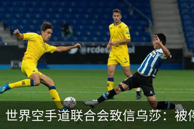 世界空手道联合会致信乌莎：被停职裁判为何随印度队出征