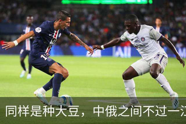 同样是种大豆，中俄之间不过一江之隔，为何产量却差近一倍？