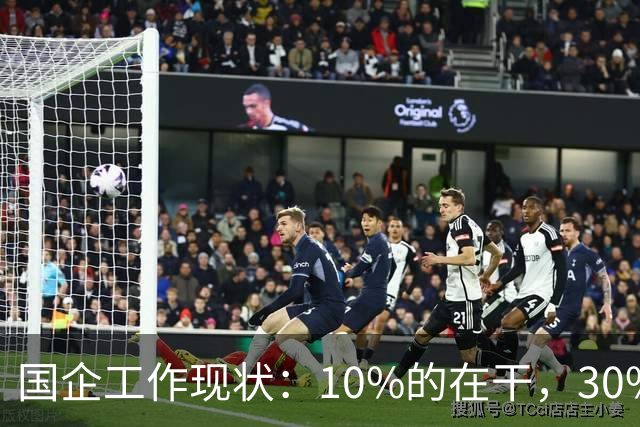 国企工作现状：10%的在干，30%的在看，剩下的人在捣乱！