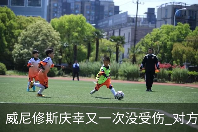 威尼修斯庆幸又一次没受伤 对方斥责他在挑衅