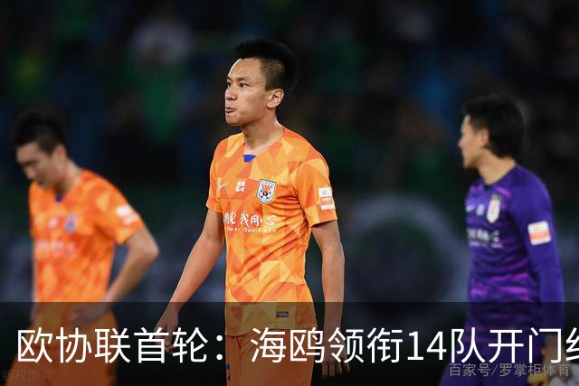 欧协联首轮：海鸥领衔14队开门红，赫塔菲绝平，贾府兵工开门黑！