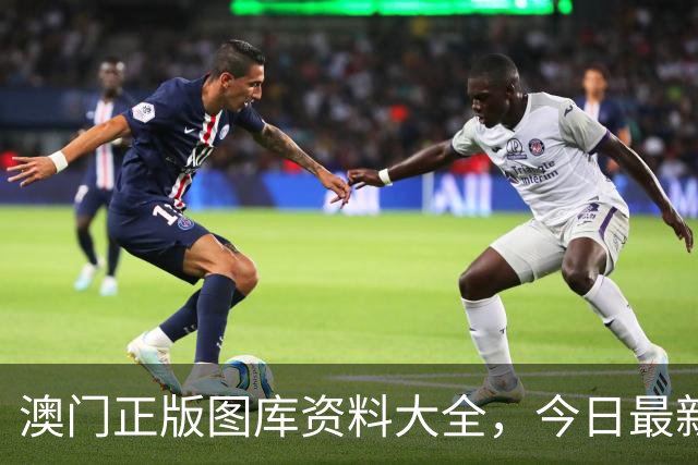 澳门正版图库资料大全，今日最新四九图库马会真传澳门跑狗四不像资料大全2026年新六合彩生肖码图