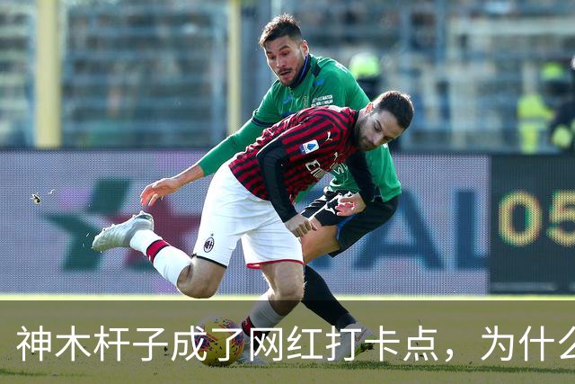 神木杆子成了网红打卡点，为什么要围起来？