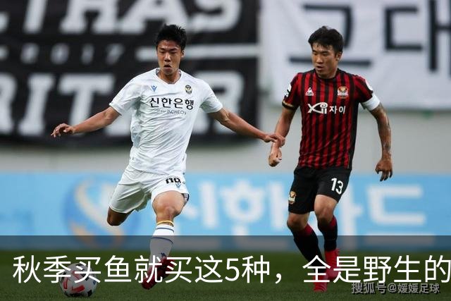 秋季买鱼就买这5种，全是野生的，人工养不了，比养殖鱼更香