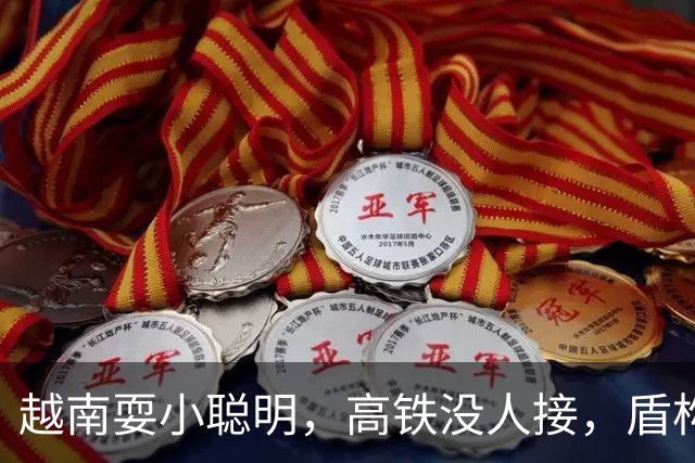 越南耍小聪明，高铁没人接，盾构机买不着，次次搬石头砸自己脚