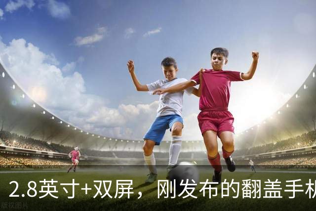 2.8英寸+双屏，刚发布的翻盖手机，竟卖到2600元
